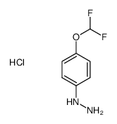 (4-(difluoromethoxy)phenyl)hydrazine hydrochloride structure