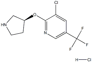 3-Chloro-2-((S)-pyrrolidin-3-yloxy)-5-trifluoroMethyl-pyridine hydrochloride picture