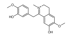 reticulinylium Structure