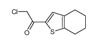 Ethanone, 2-chloro-1-(4,5,6,7-tetrahydrobenzo[b]thien-2-yl)- (9CI) Structure