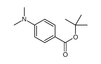 tert-butyl p-(dimethylamino)benzoate结构式