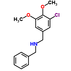 N-Benzyl-1-(3-chloro-4,5-dimethoxyphenyl)methanamine结构式