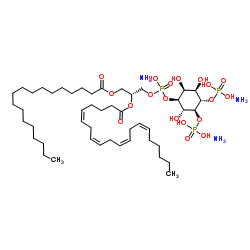 1-硬脂酰基-2-花生四烯酰基-sn-甘油-3-磷酸-(1'-肌醇-4',5'-二磷酸酯)(铵盐)图片