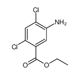 91151-73-4 structure