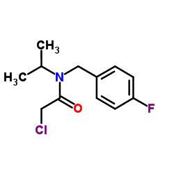 2-Chloro-N-(4-fluorobenzyl)-N-isopropylacetamide结构式