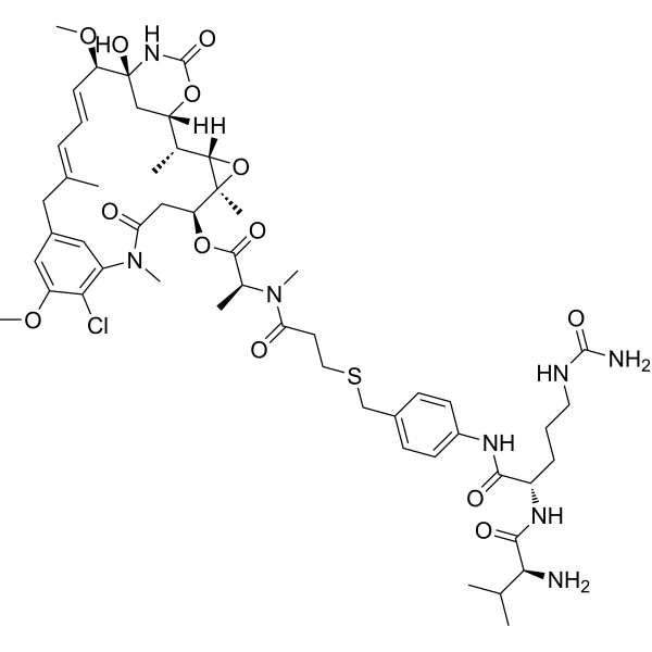 vc-PABC-DM1 structure