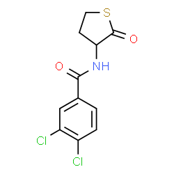 3,4-DICHLORO-N-(2-OXOTETRAHYDRO-3-THIOPHENYL)BENZENECARBOXAMIDE picture