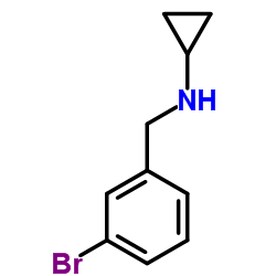 892570-95-5 structure