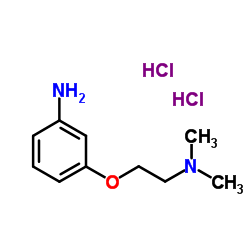 3-[2-(Dimethylamino)ethoxy]aniline dihydrochloride结构式