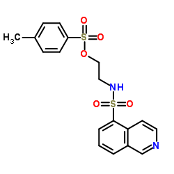 2-[(5-Isoquinolinylsulfonyl)amino]ethyl 4-methylbenzenesulfonate结构式