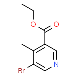 Ethyl5-bromo-4-methylnicotinate picture