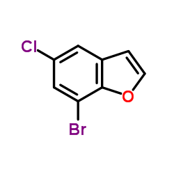 7-Bromo-5-chloro-1-benzofuran structure