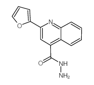 2-(2-Furyl)quinoline-4-carbohydrazide结构式