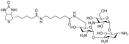 419573-19-6结构式