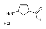 (1S,4R)-4-AMINO-CYCLOPENT-2-ENECARBOXYLIC ACID HYDROCHLORIDE picture