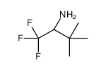 (2S)-1,1,1-trifluoro-3,3-dimethylbutan-2-amine picture