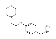 N-METHYL-N-[4-(2-MORPHOLIN-4-YLETHOXY)BENZYL]AMINE picture