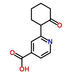 2-(2-OXO-CYCLOHEXYL)-ISONICOTINIC ACID结构式