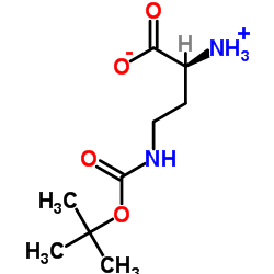 H-Daba(Boc)-OH Structure