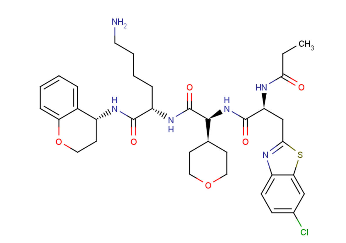 DI-404 Structure