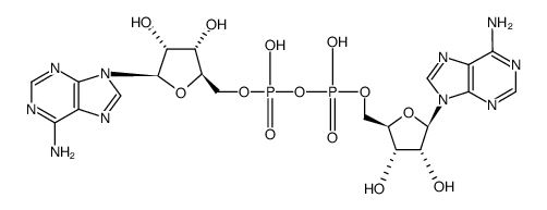 adenosine monophosphate-adenosine structure