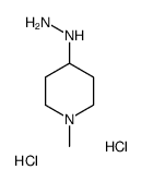 4-肼基-1-甲基哌啶二盐酸盐结构式