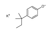 53404-18-5 structure