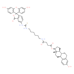 N-(estradiol-17 beta-succinylaminohexyl)-N'-fluoresceinyl-thiourea picture