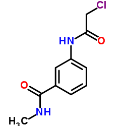 3-[(Chloroacetyl)amino]-N-methylbenzamide结构式