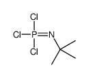 N-TERT-BUTYLPHOSPHORIMIDIC TRICHLORIDE Structure