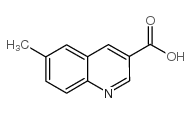 6-甲基喹啉-3-羧酸图片