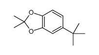 2,2-dimethyl-5-tert-butyl-1,3-benzodioxole structure