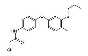 2-chloro-N-[4-(4-methyl-3-propylsulfanylphenoxy)phenyl]acetamide Structure