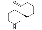 (6S)-2-azaspiro[5.5]undecan-11-one Structure