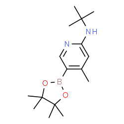 N-tert-butyl-4-Methyl-5-(4,4,5,5-tetramethyl-1,3,2-dioxaborolan-2-yl)pyridin-2-amine structure