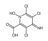 3,5,6-trichloro-1-hydroxy-4-iminopyridine-2-carboxylic acid Structure