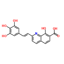 7-Quinolinecarboxylic acid, 8-hydroxy-2-[(1E)-2-(3,4,5-trihydroxyphenyl)ethenyl]- picture