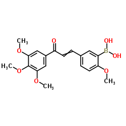 {2-Methoxy-5-[3-oxo-3-(3,4,5-trimethoxyphenyl)-1-propen-1-yl]phenyl}boronic acid Structure