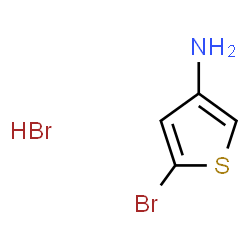 5-bromothiophen-3-amine hydrobromide picture