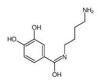 Benzamide, N-(4-aminobutyl)-3,4-dihydroxy- (9CI) picture