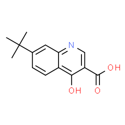 3-Quinolinecarboxylicacid,7-(1,1-dimethylethyl)-4-hydroxy-(9CI) structure