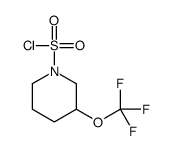 3-(Trifluoromethoxy)-1-piperidinesulfonyl chloride Structure