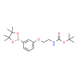 3-[2-(Boc-amino)ethoxy]phenylboronic Acid Pinacol Ester structure