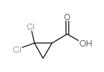 5365-14-0 structure