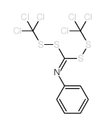 N-phenyl-1,1-bis(trichloromethyldisulfanyl)methanimine structure