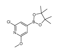 697739-24-5 structure