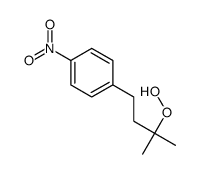 1-(3-hydroperoxy-3-methylbutyl)-4-nitrobenzene Structure