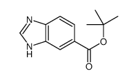 tert-butyl 3H-benzimidazole-5-carboxylate Structure