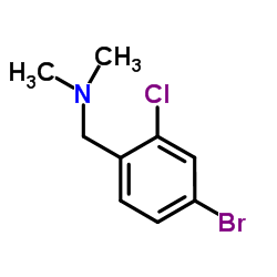 1-(4-Bromo-2-chlorophenyl)-N,N-dimethylmethanamine picture