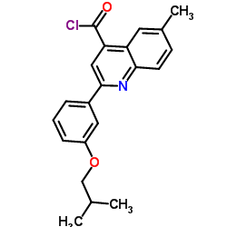 2-(3-Isobutoxyphenyl)-6-methyl-4-quinolinecarbonyl chloride structure